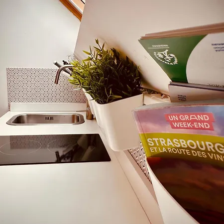 Tiny Cosy Boat Strasburg